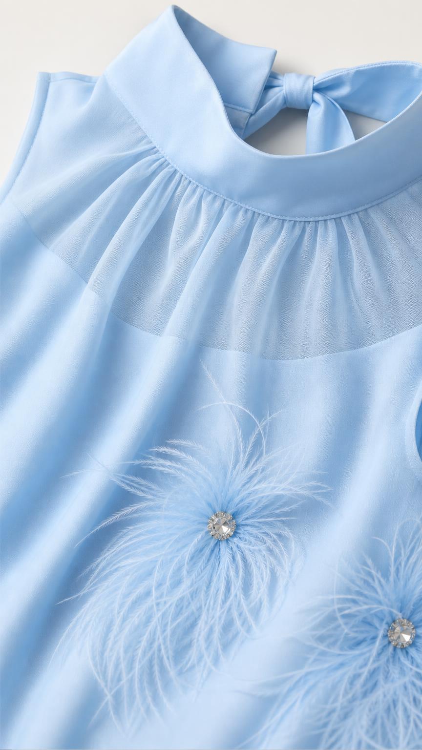Close-up detail of mock neckline, sheer yoke, and crystal-accented feathers